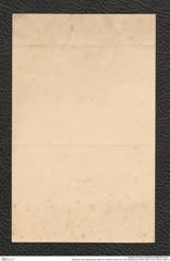Nachlass Franz Steindachner, Brief von Hermann Krauss an Franz Steindachner (08.09.1880), Inv.Nr. 279.01, Seite 4